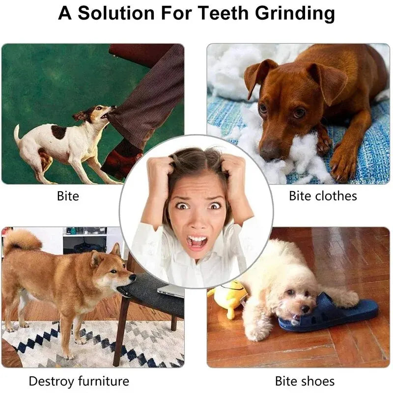 Dog Toy Treat Ball