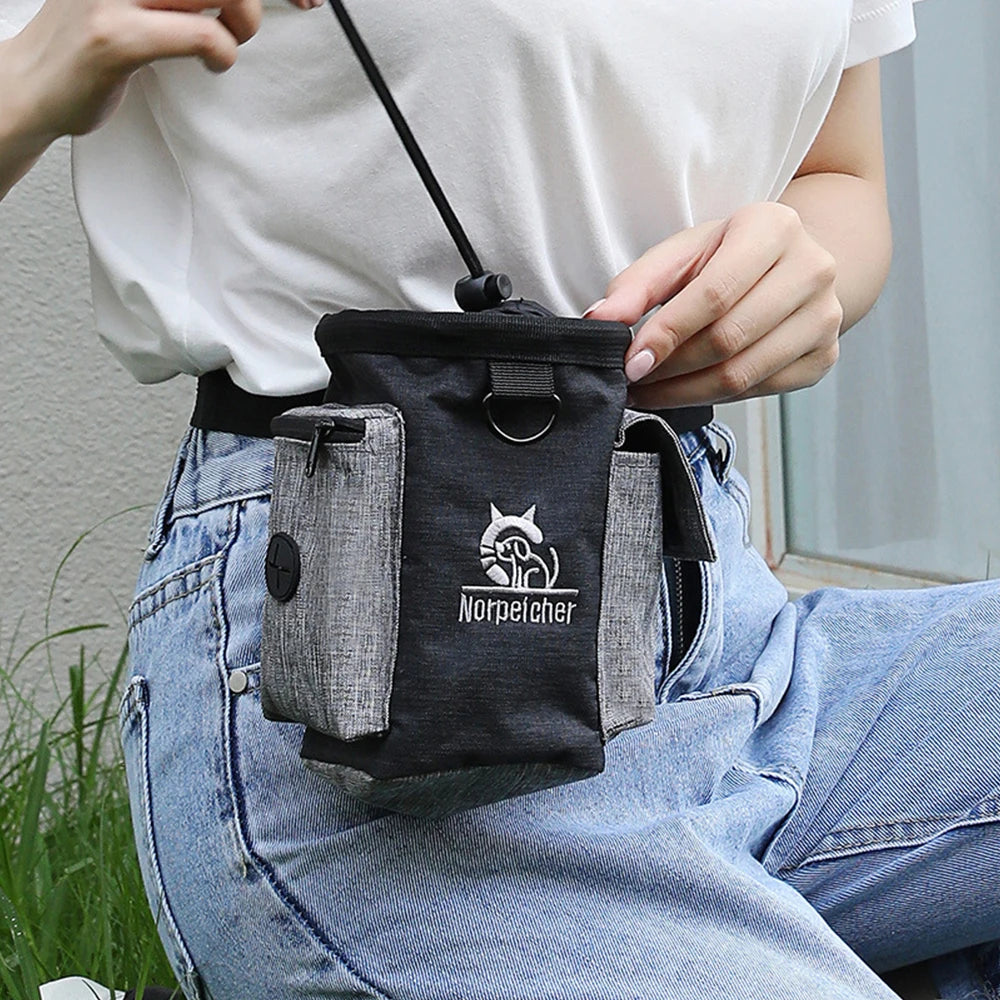 Adventure Dog Walking Bag