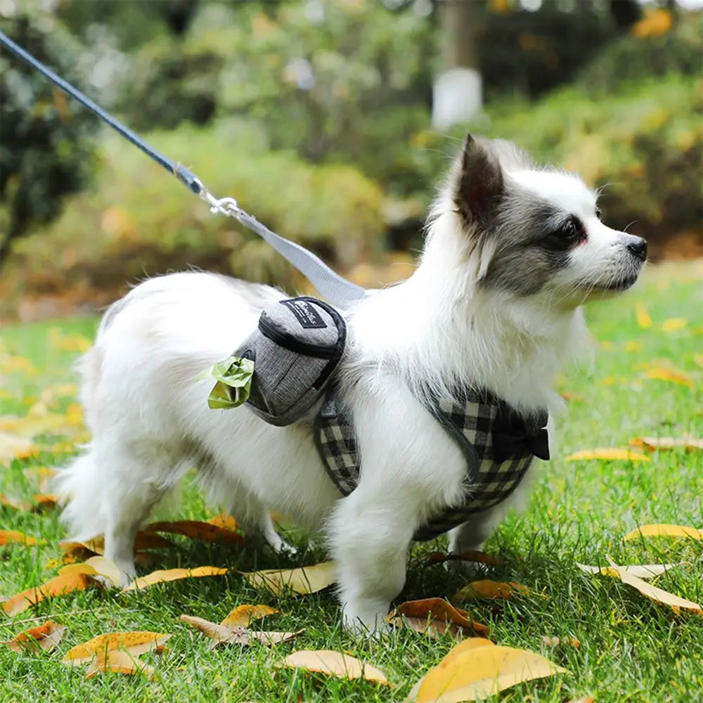 Portable Dog Training Treat Bag For Outdoor